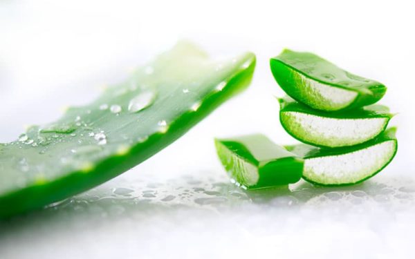 Lire la suite à propos de l’article Les bienfaits de l’Aloe Vera