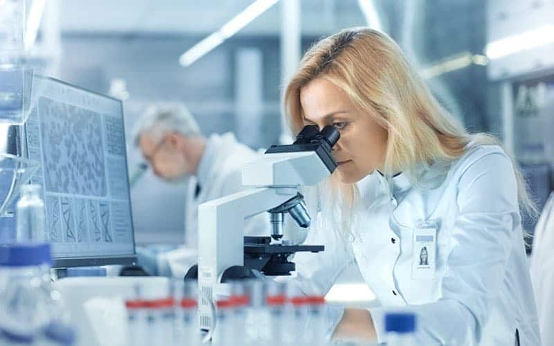 L'extrait de Naissain d’huître 2 Recherche cosmétique