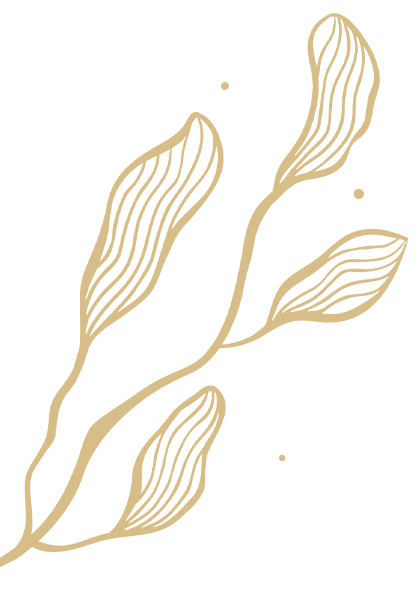Hydra’Gold 11